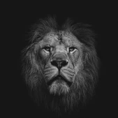 Detroit- boom bap hip hop beat by Ganga beats - Hip Hop beat