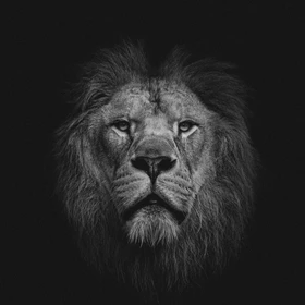 Detroit- boom bap hip hop beat by Ganga beats - Hip Hop beat